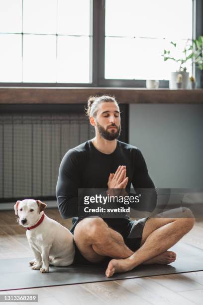 young men at home practicing yoga - zen dog stock pictures, royalty-free photos & images