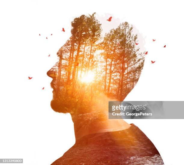 multiple exposure of young man and nature - multiple exposure stock pictures, royalty-free photos & images