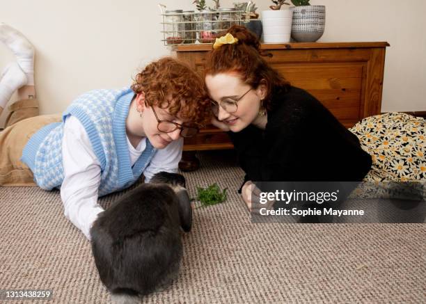 Lgbt Rabbits Bunny Nottinghamshire Photos and Premium High Res Pictures - Getty Images
