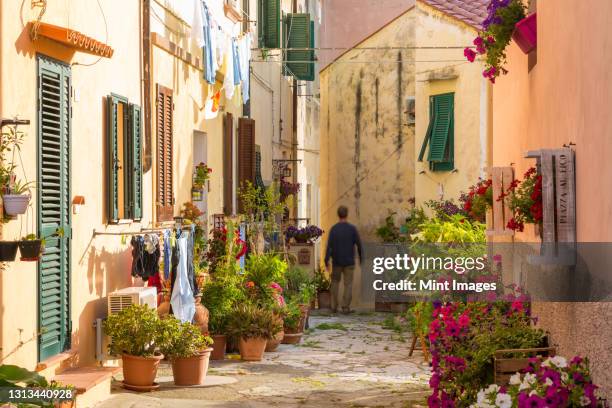 narrow street in portoferraio, island of elba - livorno 個照片及圖片檔