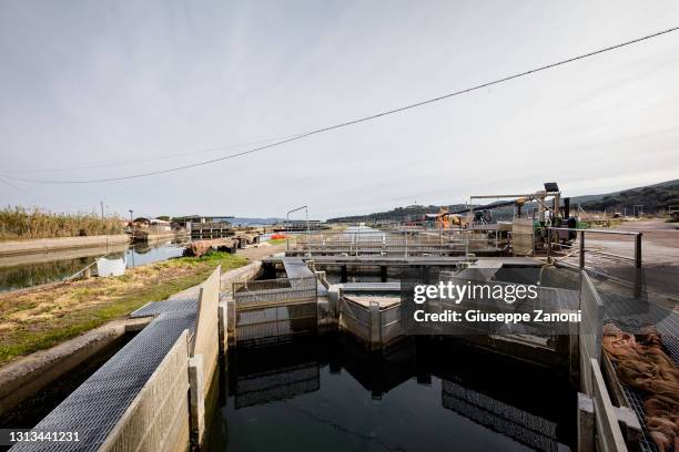 fish farming plant - orbetello 個照片及圖片檔