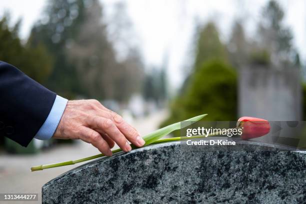 friedhof - grabstein stock-fotos und bilder