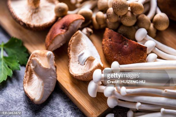 wooden table with variety of raw mushrooms - enoki mushroom stock pictures, royalty-free photos & images
