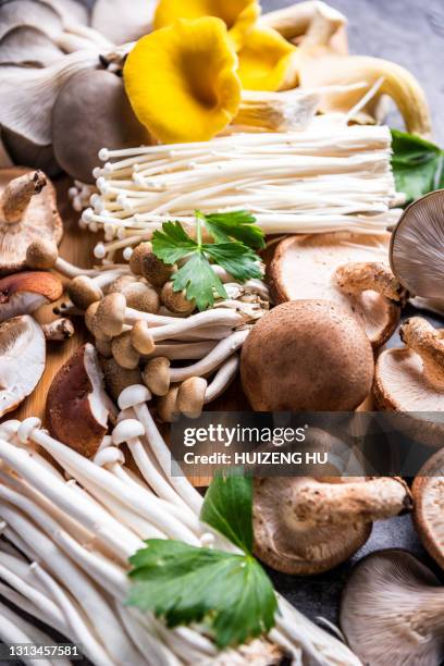 wooden table with variety of raw mushrooms - shimeji pilz stock-fotos und bilder