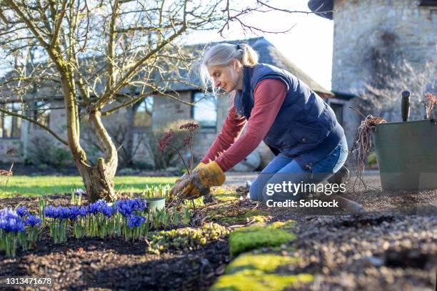 arbeiten am garten - woman kneeling stock-fotos und bilder