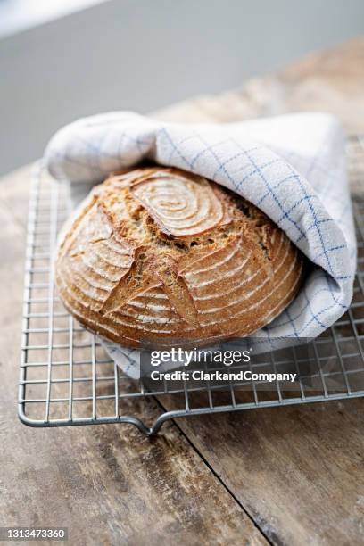 feshly gebakken brood van zuurdesembrood. - rijzen stockfoto's en -beelden