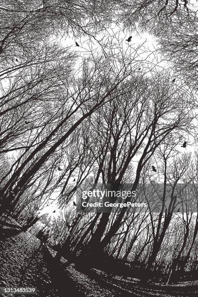 forest footpath with autumn leaves - wide angle landscape stock illustrations