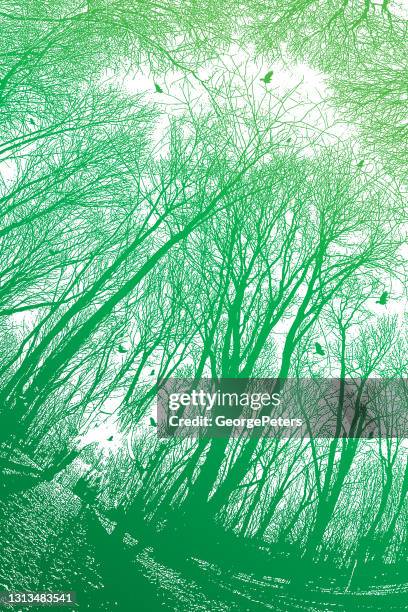 forest footpath with autumn leaves - trees looking up stock illustrations