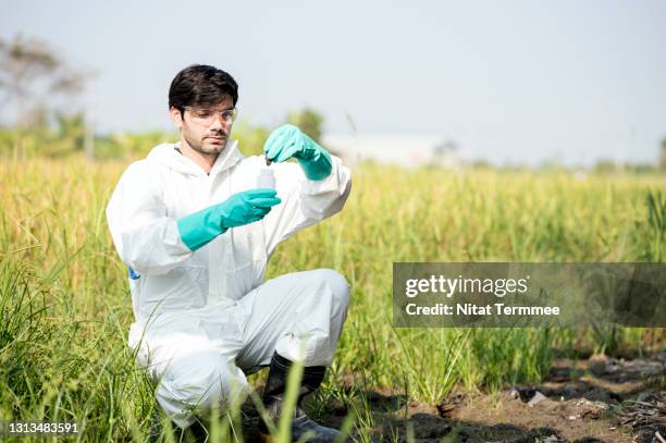 Ecologist Sampling Environmental Soil Sampling Photos and Premium High Res Pictures ...