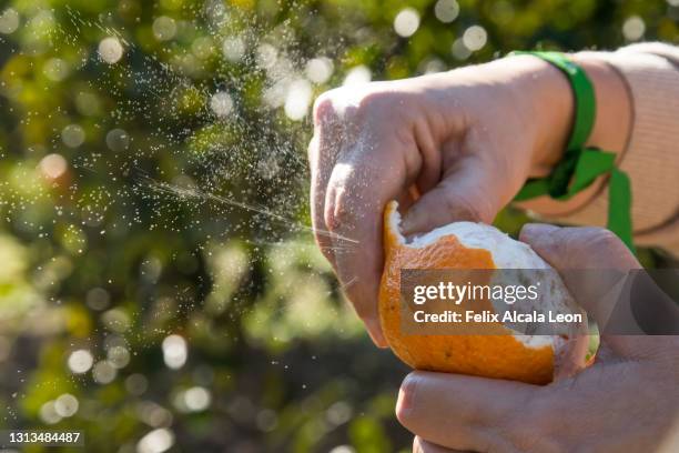 peeling oranges - aromatherapy stock pictures, royalty-free photos & images