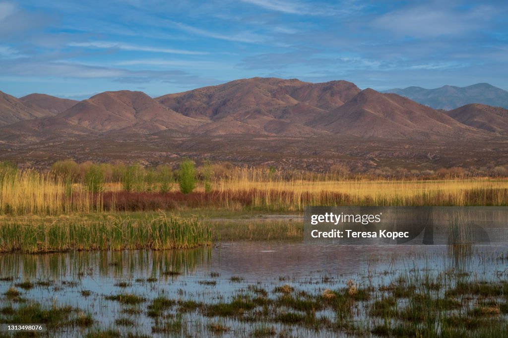 Bosque Del Apache National Wildlife Reserve