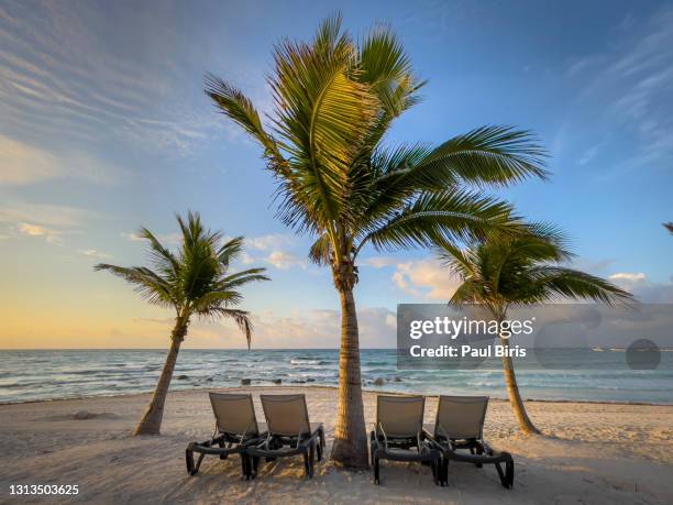 empty beach on the shores of the mexican caribbean, south of cancun - playa del carmen stock pictures, royalty-free photos & images