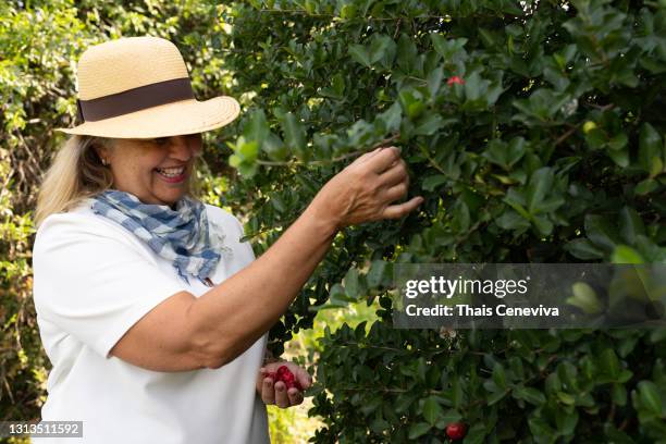 portrait of beautiful senior woman - acerola stock pictures, royalty-free photos & images