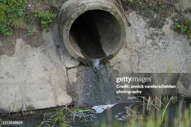 drainage in ditch - sewage pipe stock pictures, royalty-free photos & images