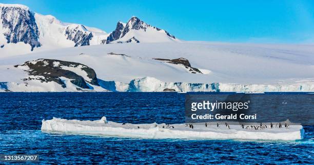從南極之聲，南極洲的景色 - antarctic sound 個照片及圖片檔