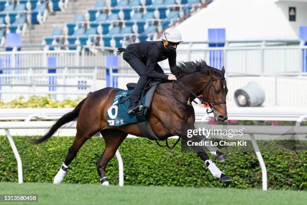 Jockey Chad Schofield riding Japanese runner Kiseki exercises at Sha Tin Racecourse on April 21, 2020 in Hong Kong.