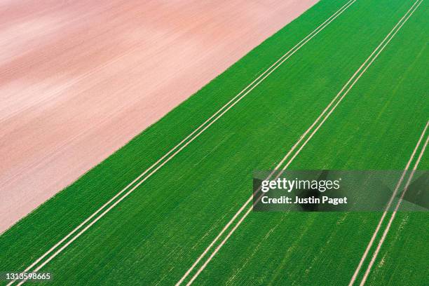drone view onto an agricultural field - grass is always greener stock pictures, royalty-free photos & images