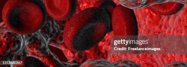 Blood Float Blood Cells Floating In A Vein 3d Render High-Res Vector Graphic ...