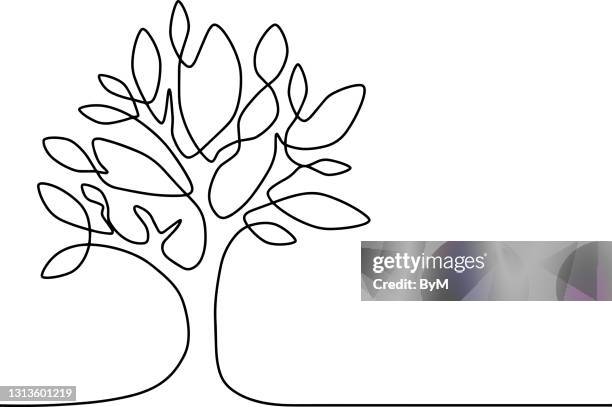 kontinuierliche linienzeichnung des baumes auf weißem hintergrund. vektor-illustration - trees stock-grafiken, -clipart, -cartoons und -symbole