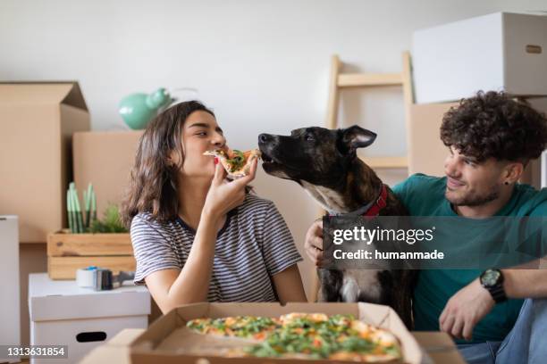 happy caucasian couple moving into their new apartment - new flat stock pictures, royalty-free photos & images