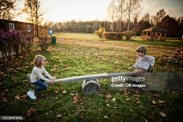 brother and sister on a seesaw - gungbräda bildbanksfoton och bilder