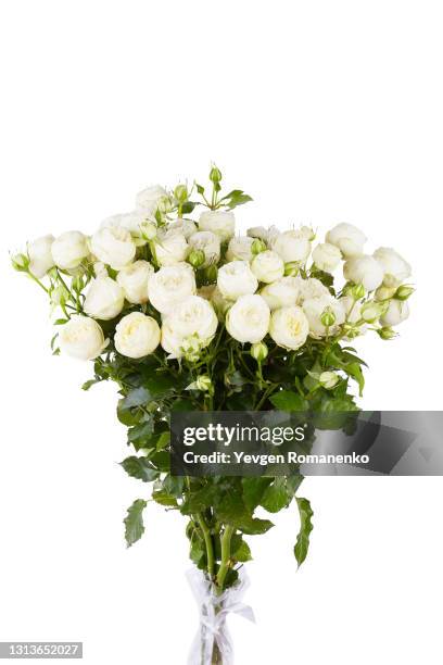 bouquet of white roses isolated on white background - rose isolated stock pictures, royalty-free photos & images