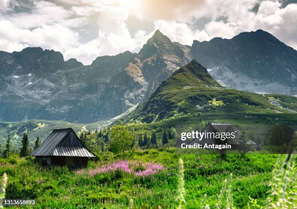 valley, mountains - tatra stock pictures, royalty-free photos & images