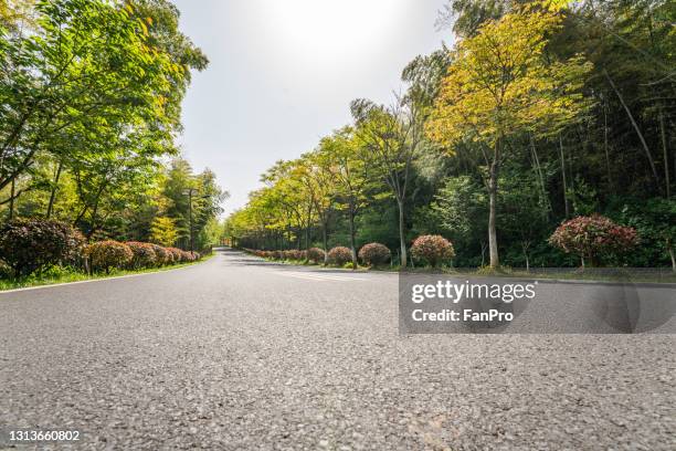 empty road lined with green trees - country road side stock pictures, royalty-free photos & images