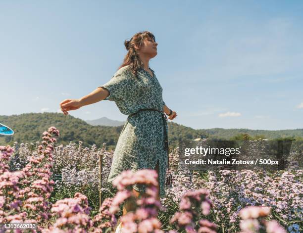 beautiful young woman in dress walking in margaret flowers field,kuv niam forest,thailand - green dress fotografías e imágenes de stock