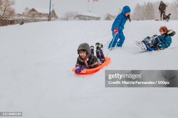 happy and adventurous family sledding together outdoors in the snow,victoria,british columbia,canada - victoria canada stock pictures, royalty-free photos & images