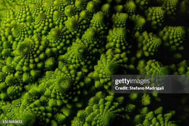 raw roman cabbage close-up - chou romanesco stock pictures, royalty-free photos & images