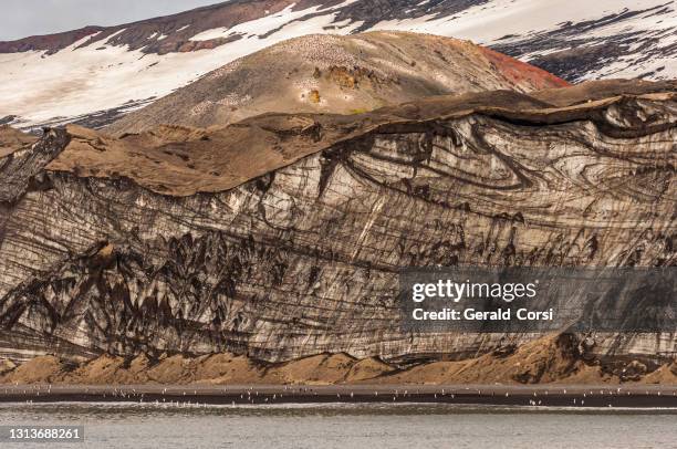 una grande scogliera di ghiaccio da un ghiacciaio con detriti vulcanici che coprono la superficie a baily head, deception island, antartide - deception island foto e immagini stock