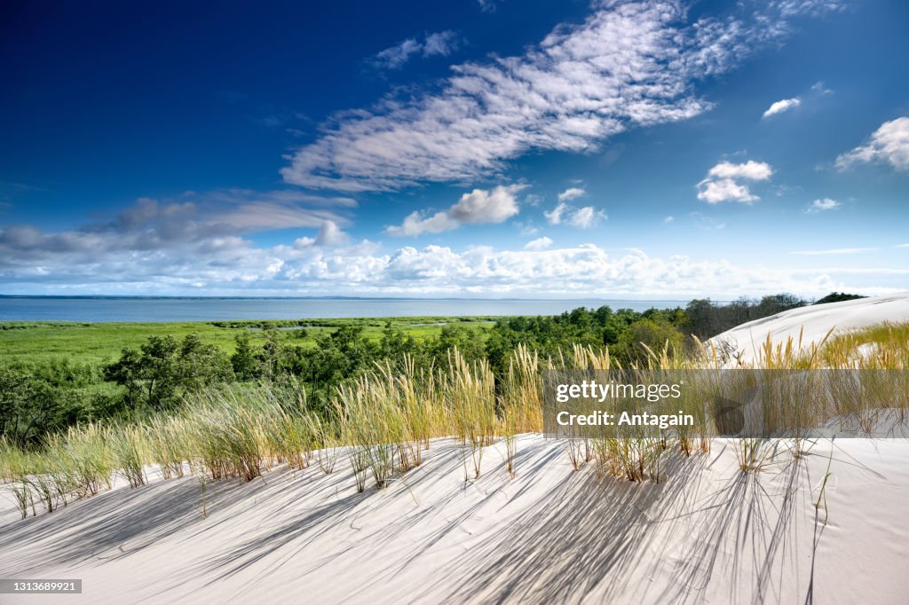 Sand Dune