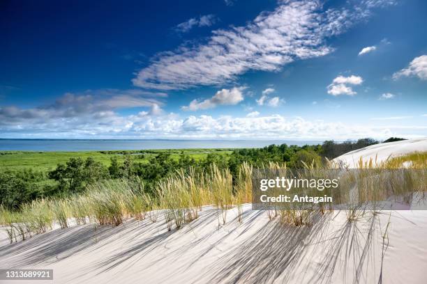 sand dune, lake - national park stock pictures, royalty-free photos & images