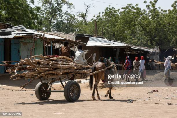 de kar van het paard met een lading hout bij hoofdweg van bitkine, tsjaad - chad stockfoto's en -beelden