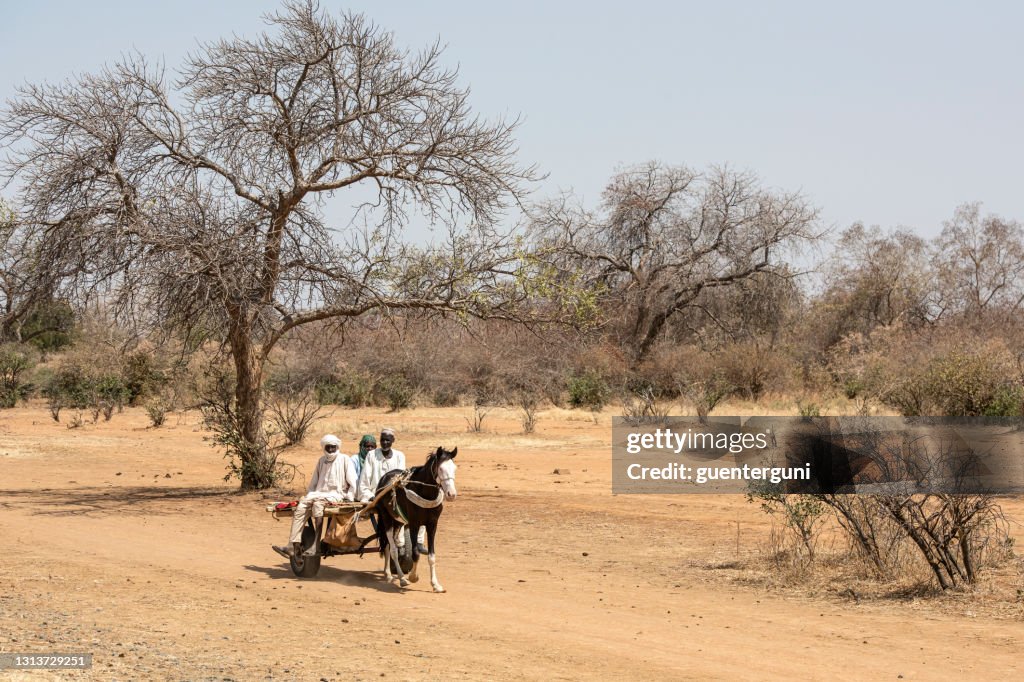 Group of men travelling on horse cart to the town Bitkine, Chad