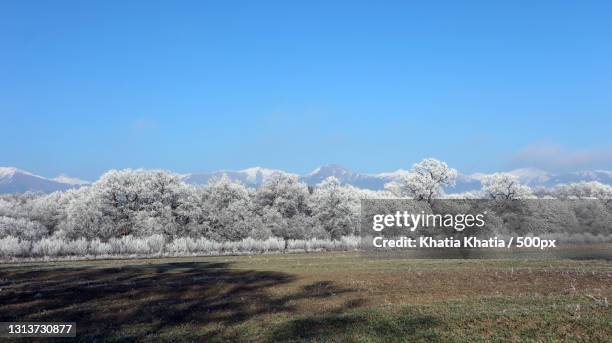 Akhmeta 49 Akhmeta Stock Photos, High-Res Pictures, and Images - Getty Images