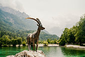 Mountain lake Jasna in Krajsnka Gora,  Slovenia. Triglav National Park, Julian alps. Travel slovenia. Mountain goat
