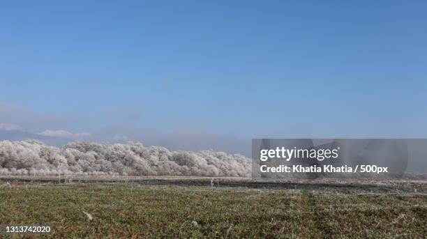 Akhmeta 49 Akhmeta Stock Photos, High-Res Pictures, and Images - Getty Images