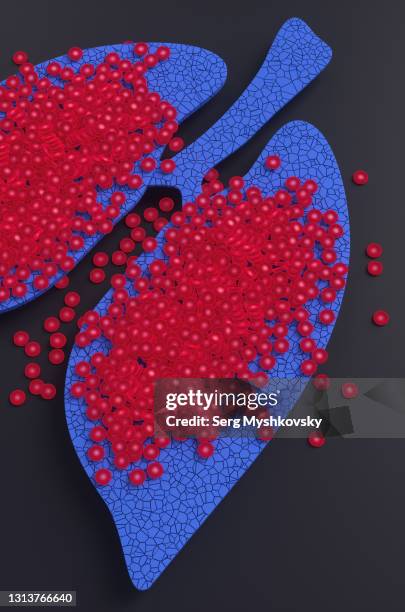 close-up of a model of destroyed human lungs with red blood cells against a black background. lungs affected by coronavirus. 3d render illustration - human internal organs 3d model stock-fotos und bilder