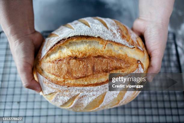 baker holding artisan country bread - round loaf stock pictures, royalty-free photos & images