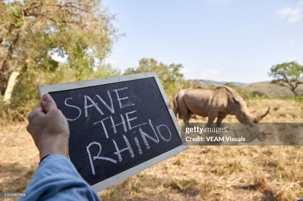 Hand showing a blackboard with the message "Save the Rhino" just in front of a White rhino in South Africa.