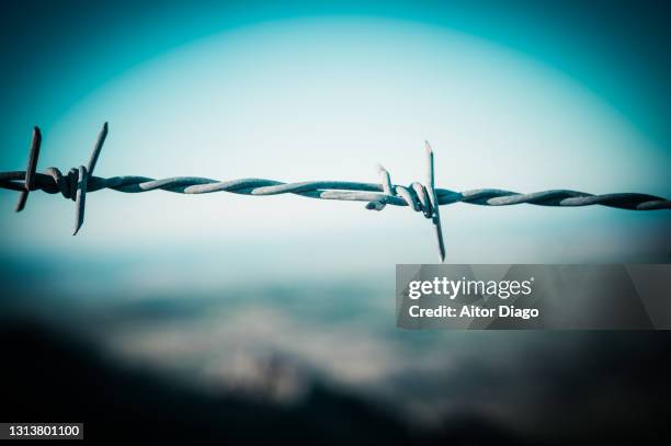 artistic photo of a barbed wire fence. retro style. - rijksgrens stockfoto's en -beelden