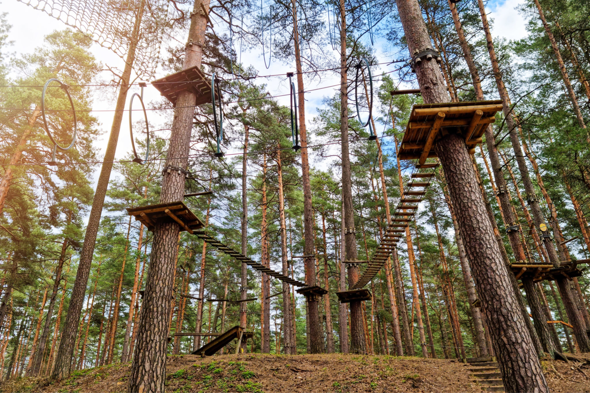 treetop adventure