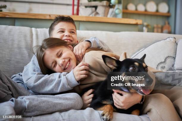 happy brother and sister with dog lying on couch at home - boy dog photos et images de collection