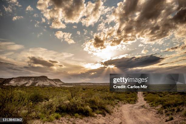 paisaje desértico con nubes de tormenta - tormenta stock pictures, royalty-free photos & images