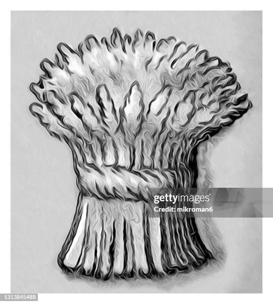 Heraldry Rye Rye Bundle Photos and Premium High Res Pictures - Getty Images