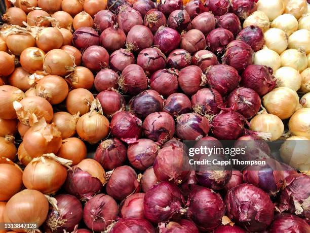 onions for sale at supermarket in usa - cipolla foto e immagini stock