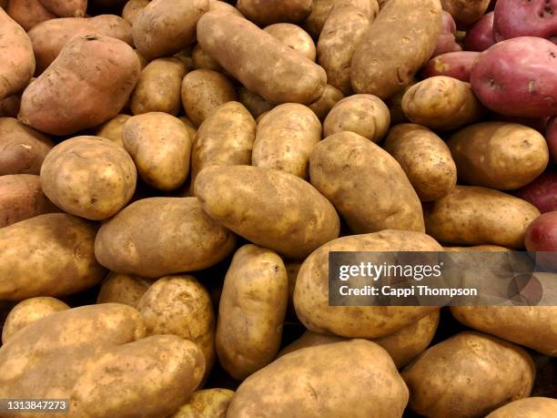 182 Russet Burbank Potato Stock Photos, High-Res Pictures, and