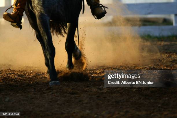 galloping horse - rodeo stock-fotos und bilder